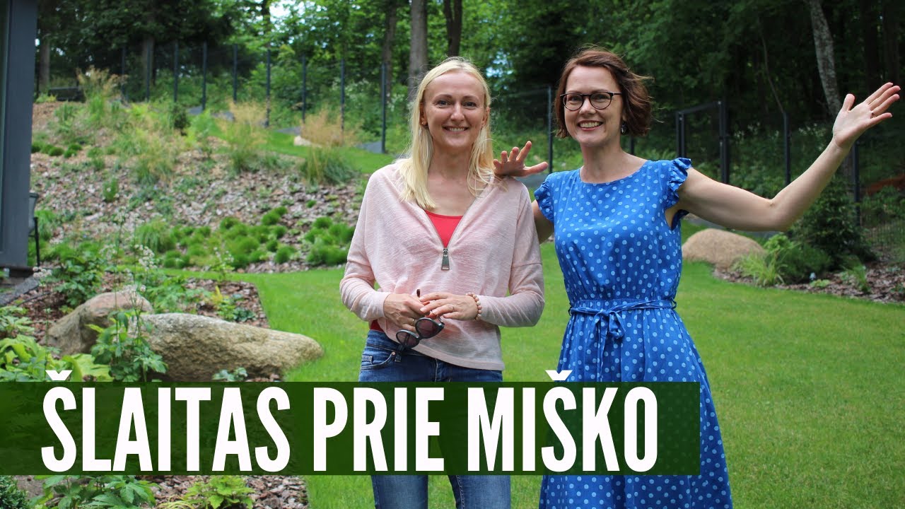 Stataus šlaito apželdinimas sklype prie miško: paganykite akis!