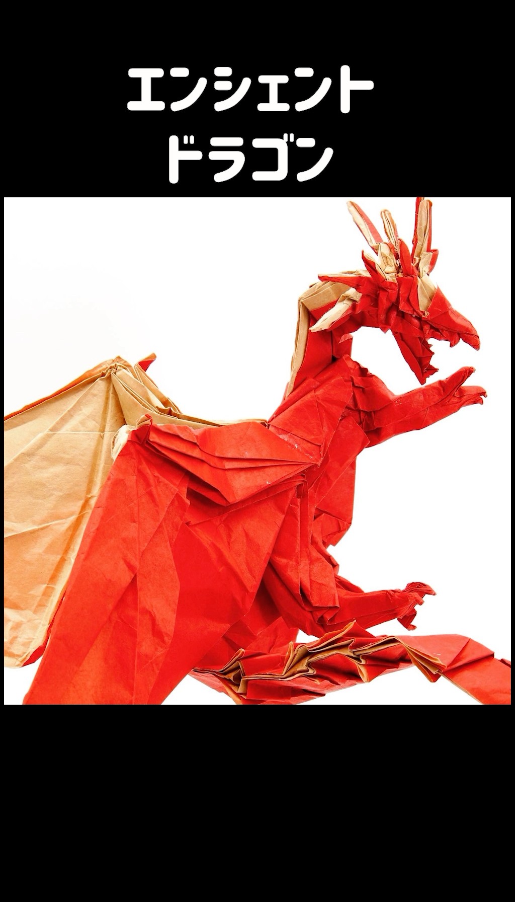 9歳】何でも紙で作る息子がヤバすぎた#折り紙 #dragon #papercraft