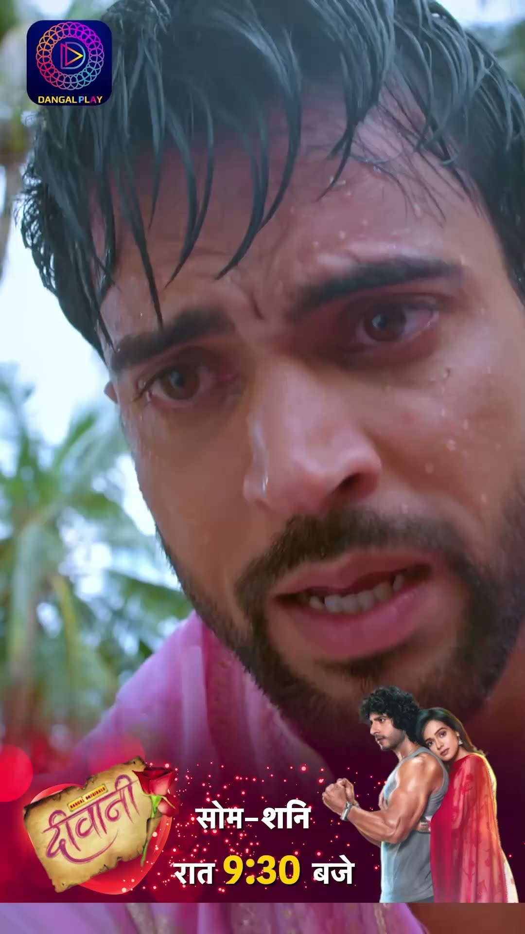 Deewani | 20 Nov 2024  | Shorts | Dangal TV