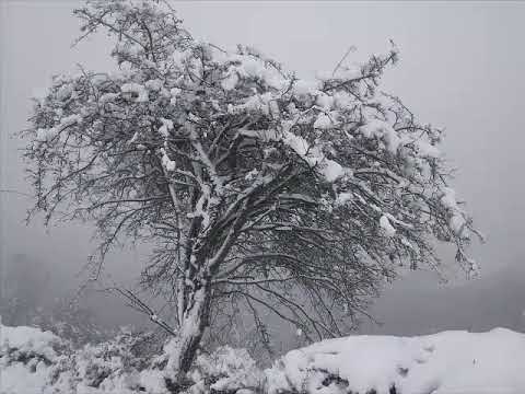 SANTA BÁRBARA - SAN MARTÍN DEL REY AURELIO (ASTURIAS):  NEVADA ENERO 2021