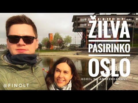 ŠOKAS: ŽILVA DINGO