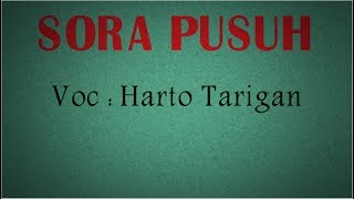 Sora Pusuh - Harto Tarigan ( Lyrics)