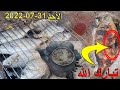 رحلة ومغارة الصيد بالقصبة تيكرت أكادير رحلة ومغارة الصيد بالقصبة تيكرت أكادير