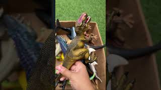 Hunting Jurassic World Toy Dinosaur Collection ASMR