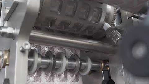 How does Strip Packing Machine work?