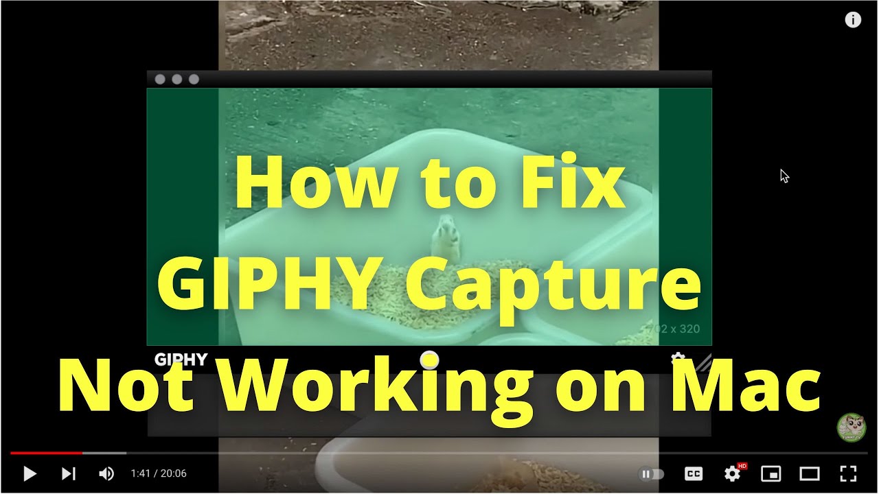 Giphy Capture Not Working On Mac | How To Fix Giphy Capture Not Recording on Mac Computer - Solution