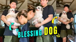 Dog Ask for a Blessing from the Elderly People
