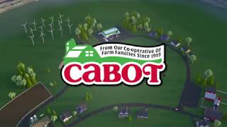 Cabots Commitment to Sustainability