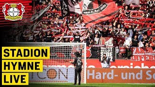 MIT DEM KREUZ AUF DER BRUST | Offizielle Hymne (live) | Dirk Maverick | Bayer 04 Leverkusen