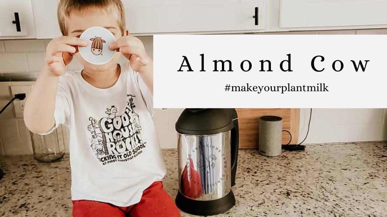 HOW TO MAKE PLANT BASED MILK ALMOND COW REVIEW HOMESTEADING FOR BEGINNERS YouTube
