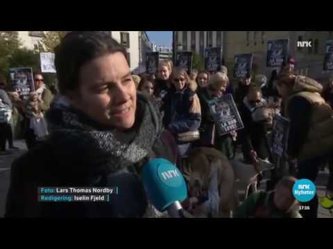 NRK Nyheter, 10.
