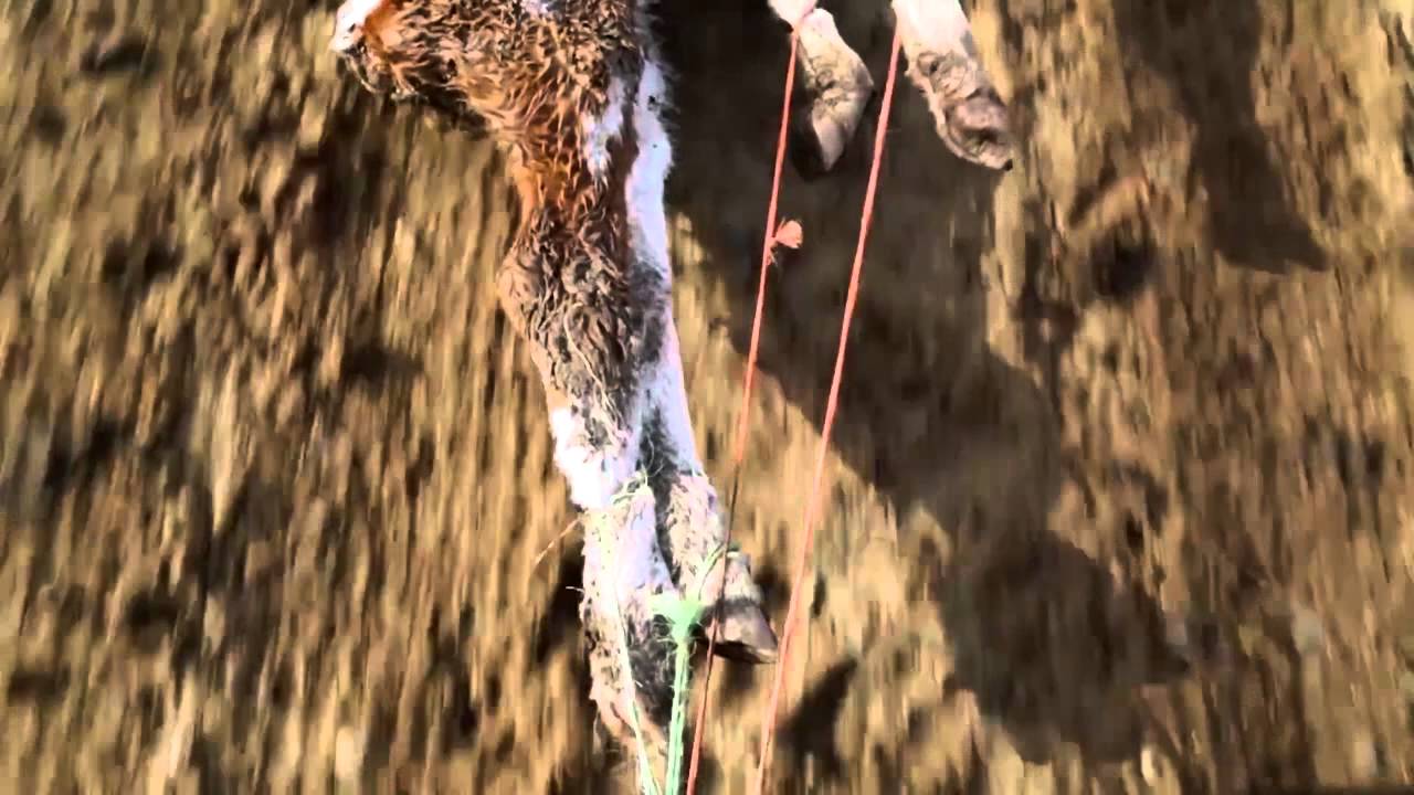 The Last Barn Dance Youtube