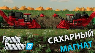 Сколько можно заработать на сахарном тростнике со старта в Farming Simulator 22