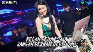 DJ PELAN PELAN SAJA BREAKBEAT INDO GALAU TERBARU 2023