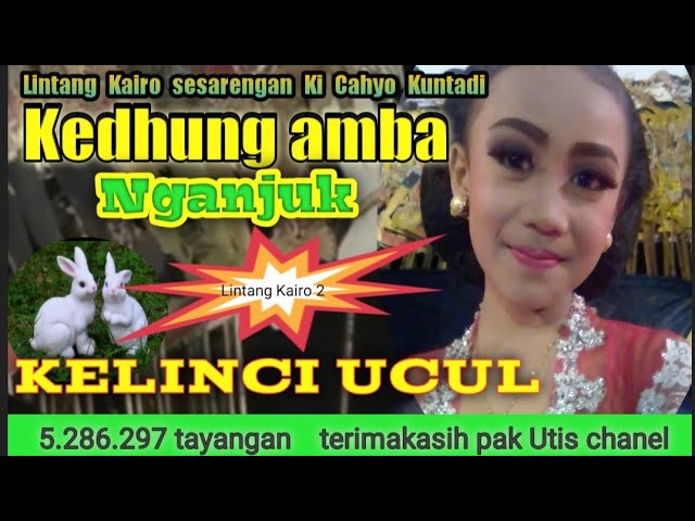 Yalangoch keksa ayollarning yaqindan olingan videolari Lezbiyen direktorlar ishtirokidagi porno videolar