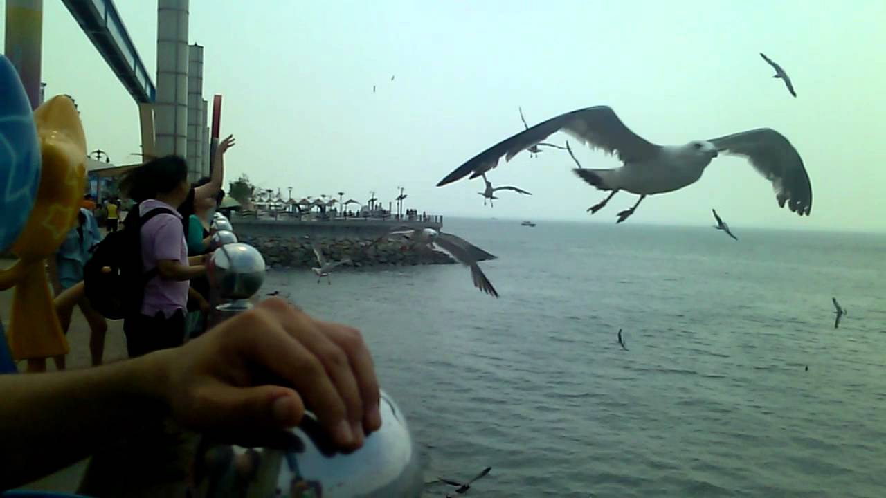 Porno qabilalar haqida film Dasha Astafieva yalangoch