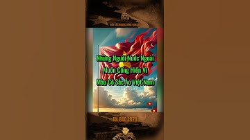 NHỮNG NGƯỜI NƯỚC NGOÀI MUỐN CỐNG HIẾN VÌ MÀU CỜ SẮC ÁO VIỆT NAM… #bảocóc #bảocócvlog #baococvlogboss