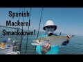 Spanish Mackerel Fishing in Tampa Bay, Tackle Recommendations and Basics for Rod, Reel, and Line