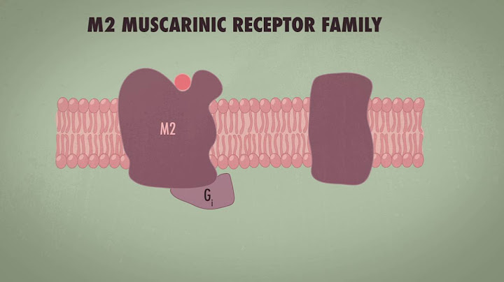 Cardiac muscle ach binds to muscarinic receptors là gì năm 2024