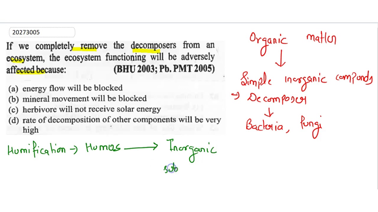 If we completely remove the from an ecosystem