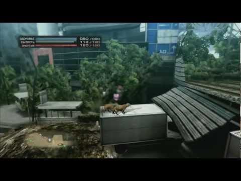 tokyo jungle сюжетная глава u0022обучениеu0022