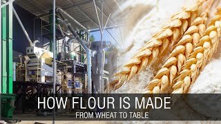 How Wheat Flour Is Made in a Factory | Complete Flour Mill Process