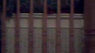 webkinz daredevils got talent funny version 2