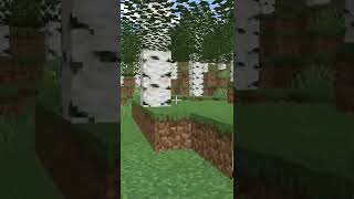 КАК В 5,7,11 ЛЕТ ИГРАЮТ В MINECRAFT |#shorts #minecraft #игравразномвозрасте