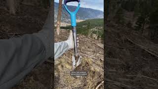 23,000 Trees, 1 Man, 24 Hours — A Green Mission Like No Other!
