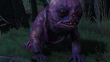 [HD] The Witcher 3 - Botchling (1920x1200 60fps)