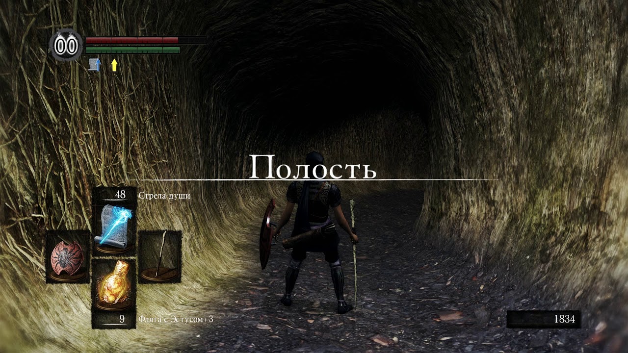 DARK SOULS Прохождение 9 Полость(The Great Hollow) Заблуждения