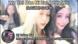 Wo Zhi Dao Ni Zai Deng Wo 我知道你在等我 Remix By Dj Brian Bie Hot Tiktok Song