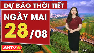 Dự báo thời tiết mới nhất ngày mai 28/8: Bắc và Trung Bộ mưa to | ANTV