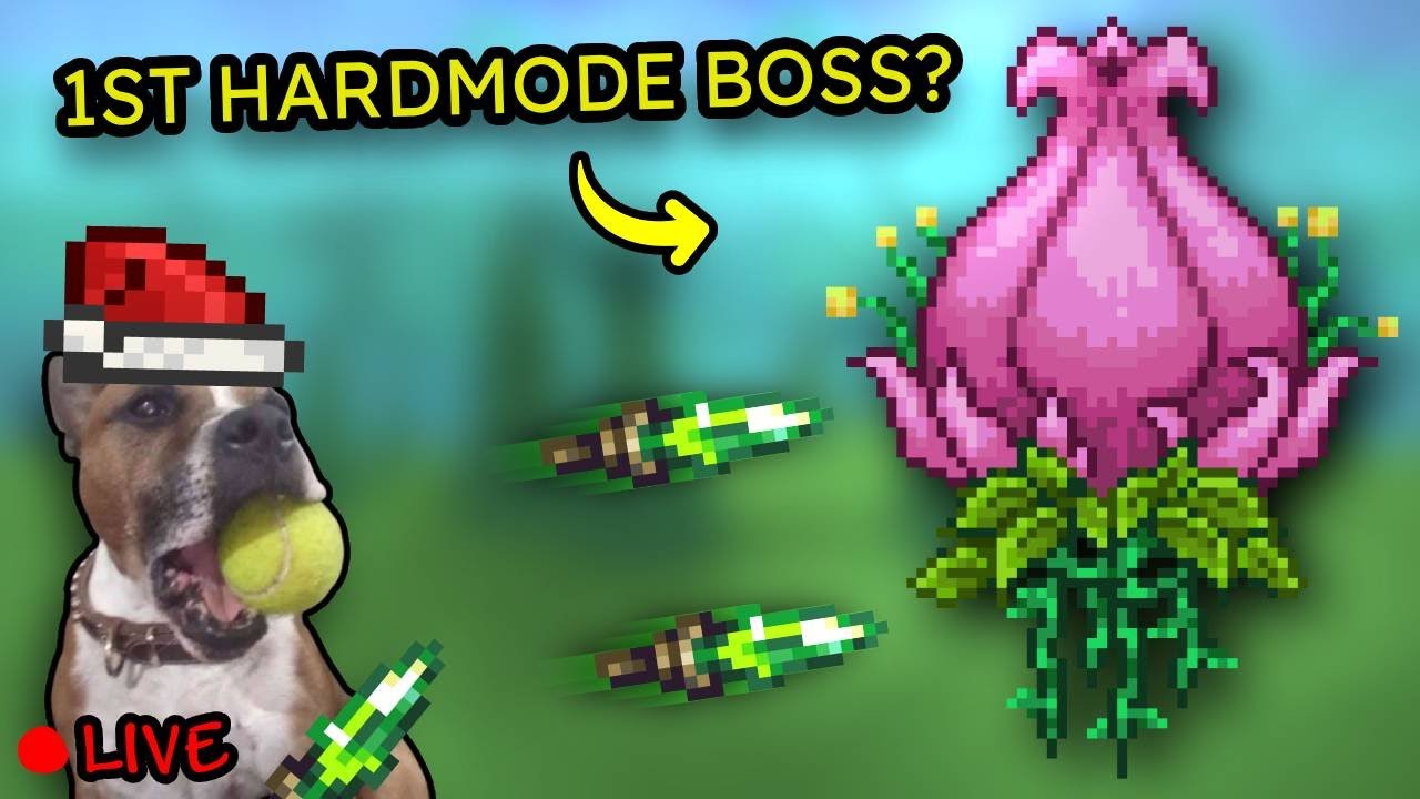 Cursed Dagger my One and Only... (Christmas Colour Items Only)