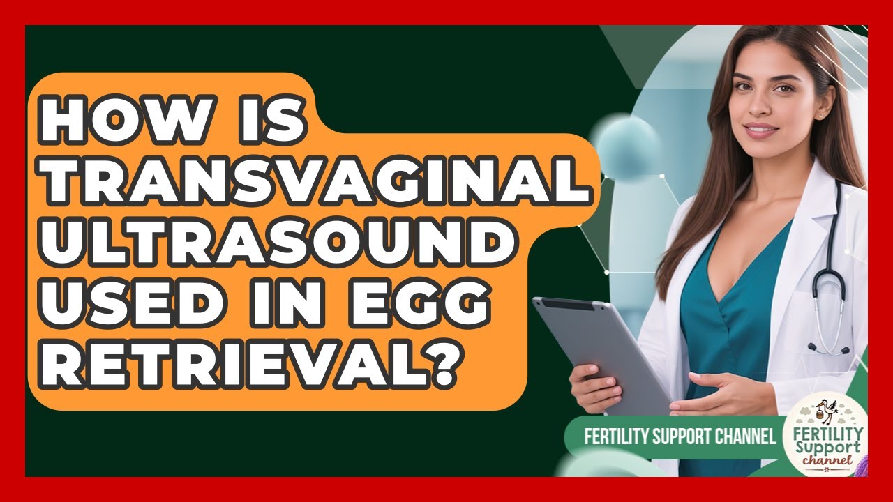 How Is Transvaginal Ultrasound Used In Egg Retrieval? - Fertility Support Channel