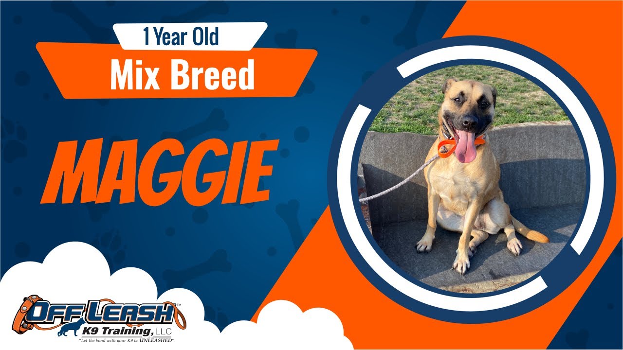 Maggie's Big Turnaround From Fearful to Fearless Jersey Shore Best