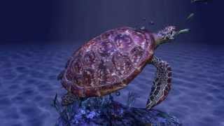 VFX 212 Texturing Lighting and Rendering - Final Project