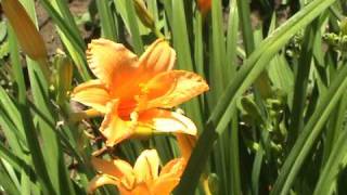 June172009