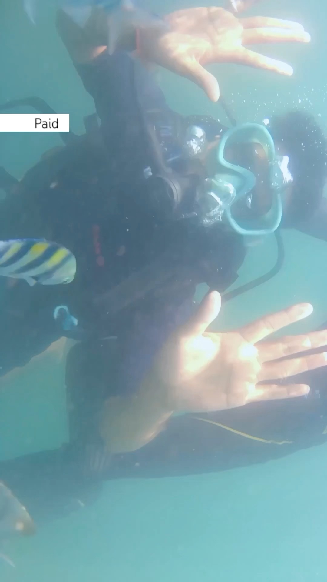 #Ad Submit your entries to the #WAVESExplorer Challenge only on YouTube Shorts #TrendingOnShorts