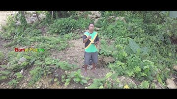 KAIMANA - BENDUNGAN KAMP. MARSI