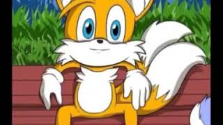 tails sitting on a bench