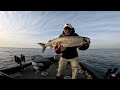 No trolling casting  jigging salmon offshore