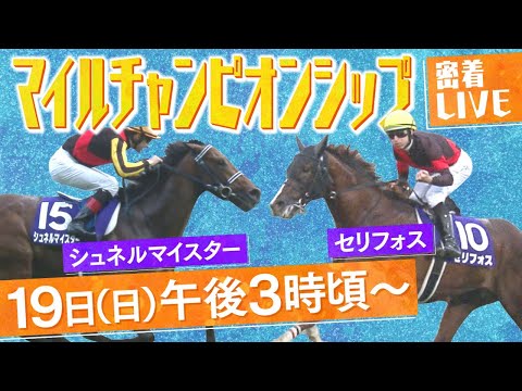 【密着LIVE配信】秋のマイル頂上決戦！有力馬に密着＜マイルチャンピオンシップ 2023＞