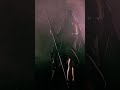 Ashen Halo – THE BEST DARK AI SONG