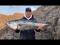 False Albacore 9.8kg shore jigging - Monster fish on small jig