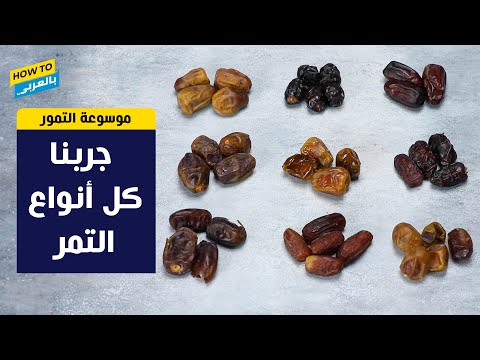 تجربة كل أنواع التمور