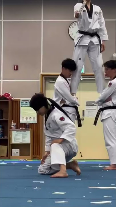 Blind Fold: Taekwondo 540 Kick 🥋