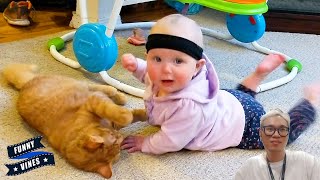 Naughty Babies Are Funny Enemies Of Cats || Funny Vines by Funny Vines 2,027 views 2 weeks ago 10 minutes, 5 seconds