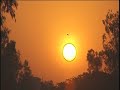 [4K][HD][SD]PUNE INDIA SUGAR CANE FARMERS 2006 Forgotten Girmitiyas - Fiji’s