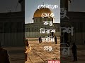 مشاري راشد العفاسي ايا من يدعي الفهم 
